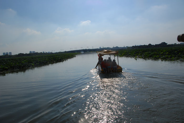 Ϧ�������ӭ�������ϰ�